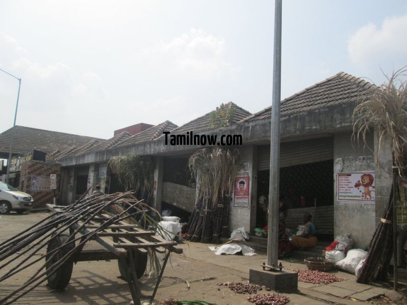 Koyambedu vegetable market photo 250