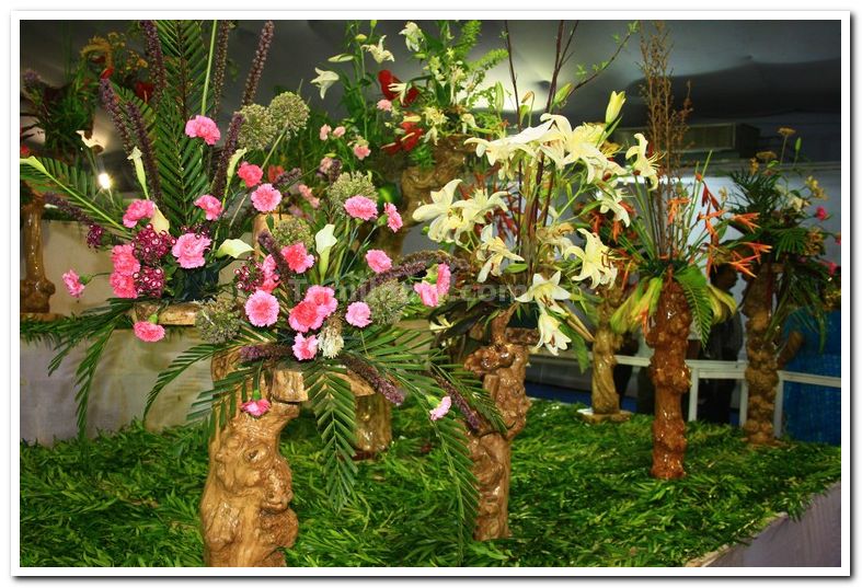 Flowers at flower show 1