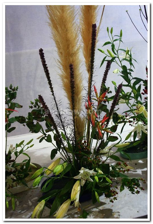 Ikebana 2