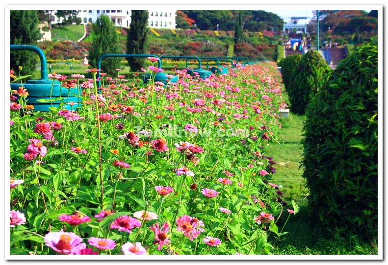 Mysore brindavan gardens photos 1