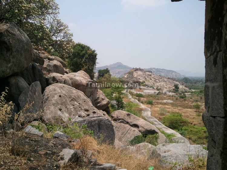 Rocky Rajagiri Fort at Gingee