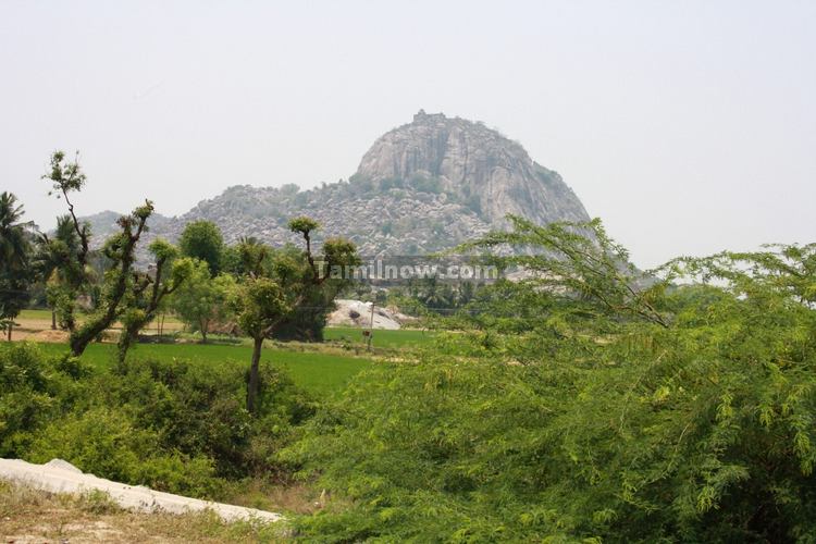 Gingee Fort View