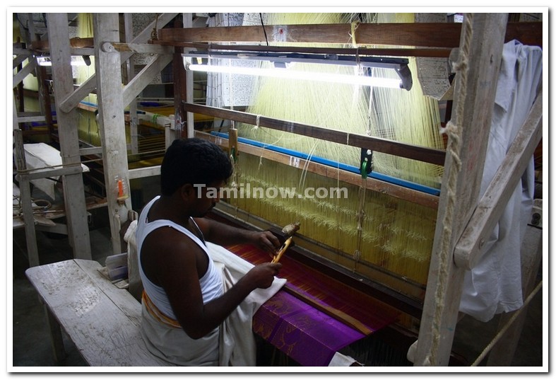 Silk weaver