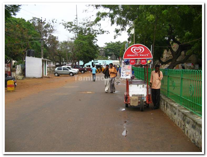 Ice Cream Vendor