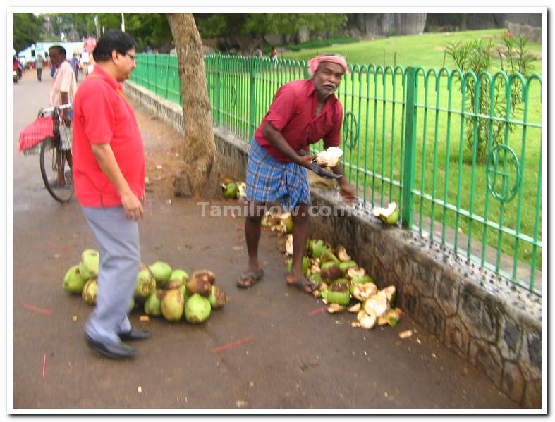 Tender Coconut Vendor at Mahabalipuram