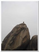 Lone monkey on rock