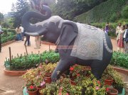 Ooty botanical garden 18