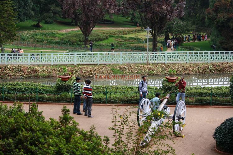 Ooty botanical garden 40