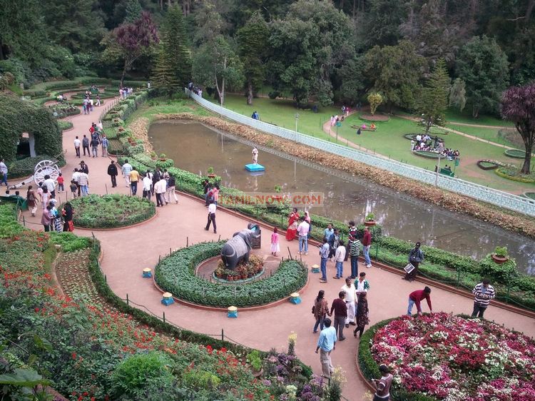 Ooty botanical garden 7