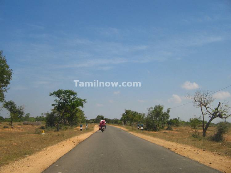 Road to chengalpet from vedanthangal