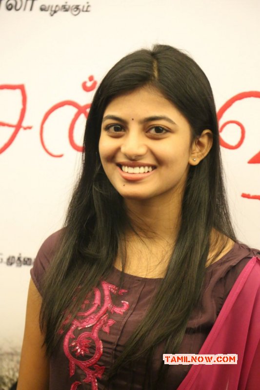 Album Tamil Actress Anandhi 9307 - Tamil Actress Anandhi Photos