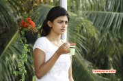 Anandhi Tamil Actress Pic 871