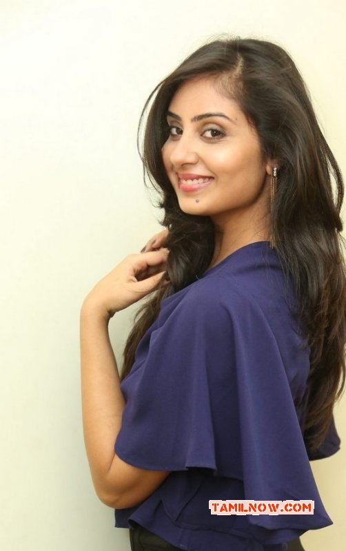 Film Actress Bhanu Sri Mehra 2014 Stills 6788