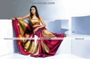 Actress Bhavana In Saree 7