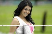 Kajal Agarwal New Photo1