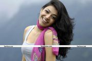 Kajal Agarwal New Photo3