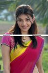 Kajal Agarwal New Pictures 22