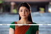 Kajal Agarwal New Pictures 5