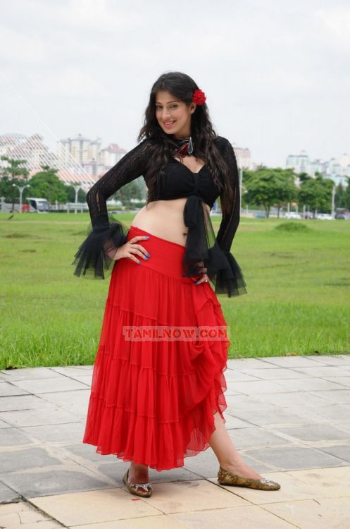 Tamil Actress Lakshmi Rai 5854