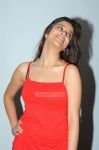 Madhurima Photos 1969