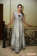 Actress Raai Laxmi 2691