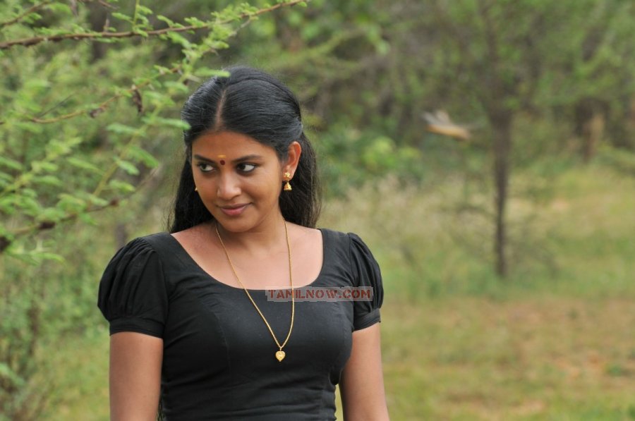 Shivada Nair 1452 Tamil Actress Shivada Nair Photos