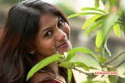 Dec 2015 Gallery Tamil Movie Actress Shruthi Reddy 1186