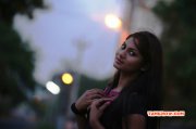 Shruthi Reddy South Actress Recent Gallery 580