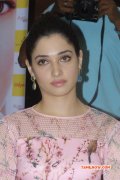 Recent Picture Tamanna Cinema Actress 4472