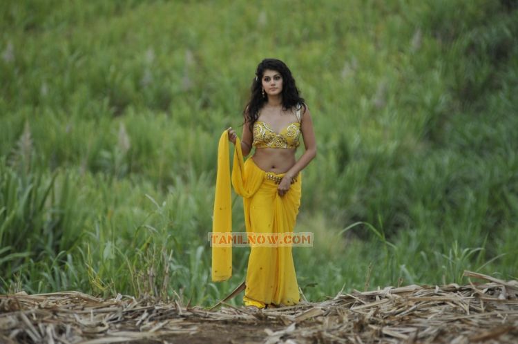 Actress Tapsee Pannu Photos 9356