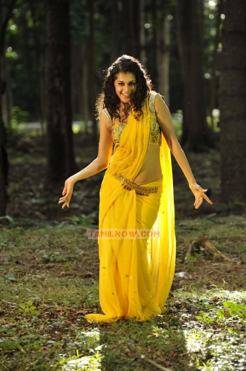 Tapsee Pannu 5943