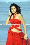 Tapsee Pannu Hot Stills 5