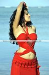 Tapsee Pannu Hot Stills 8