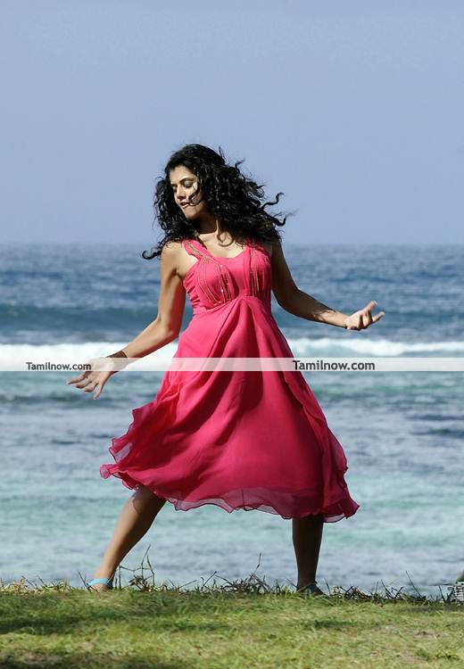 Tapsee Pannu Pics 10