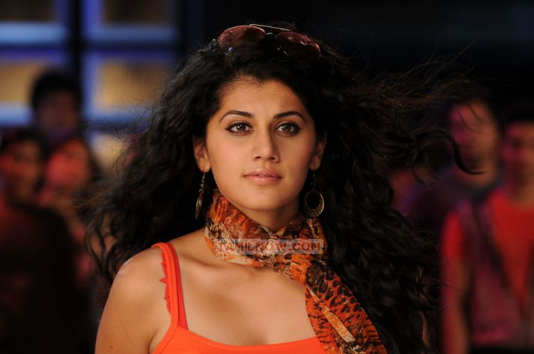 Tapsee Pannu Stills 7702