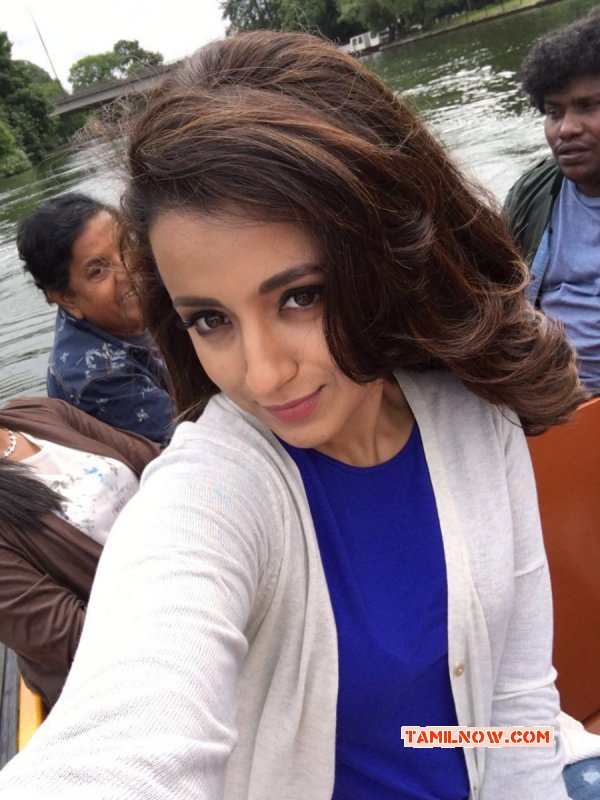 Trisha Krishnan Indian Actress Jun 2016 Gallery 752