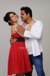 Tamil Movie 6 Photos 3624