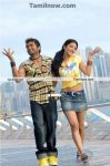 Surya And Sruthihasan 7aam Arivu