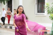 Movie Aavi Kumar 2015 Images 7355