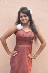 Adharam Palli Arambam Stills 678