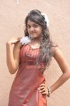 Adharam Palli Arambam Stills 880