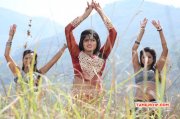 Movie Wallpaper Naina Sarwar Hot Adra Machan Visilu 685