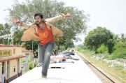 Alex Pandian Stills 5768