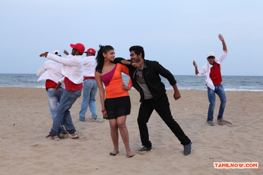 Angusam Stills 271