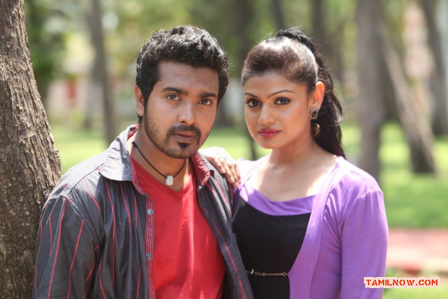 Angusam Stills 7848