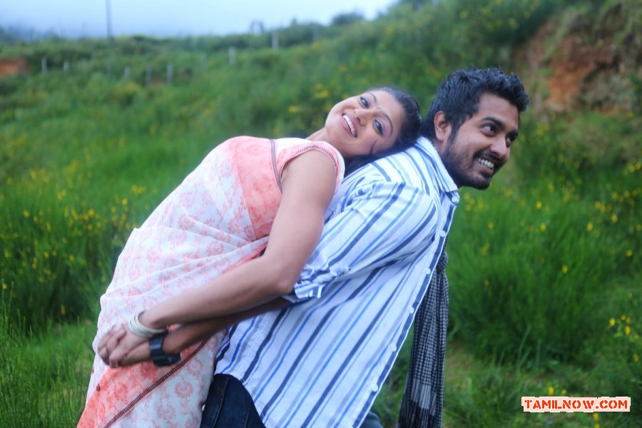 Angusam Stills 9655