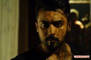 Surya New Movie Anjaan 34