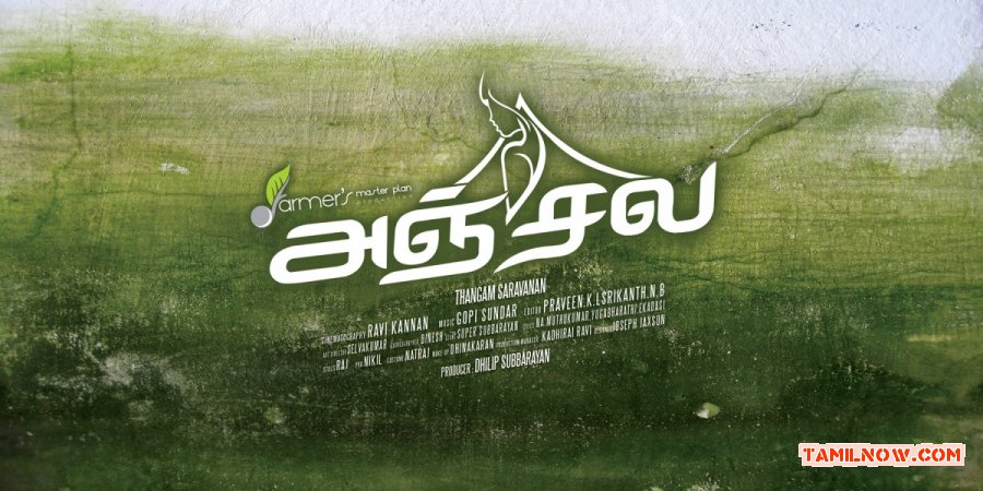 Movie Anjala Photos 2210