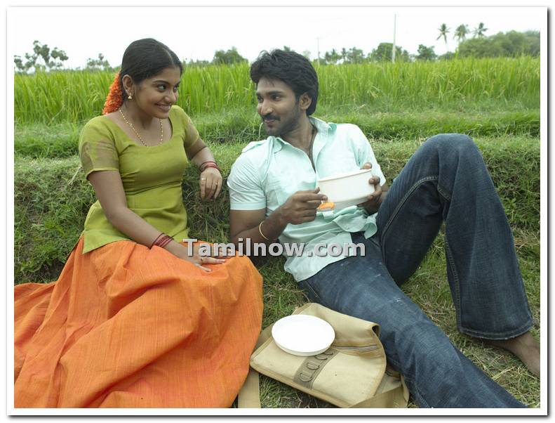 Meera Nandan And Aadhi Photos 6