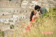 Ramcharan Rakul Preet Bruce Lee 2 Album 22